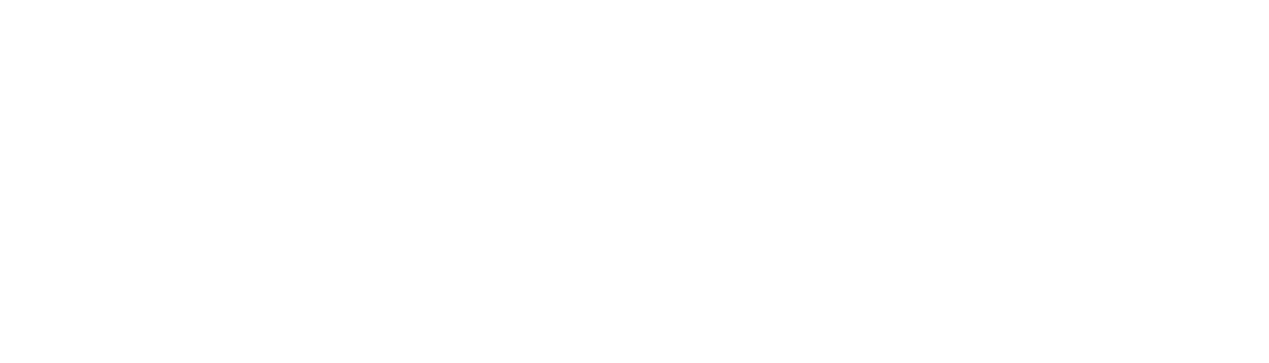 Asset 5@4x copy